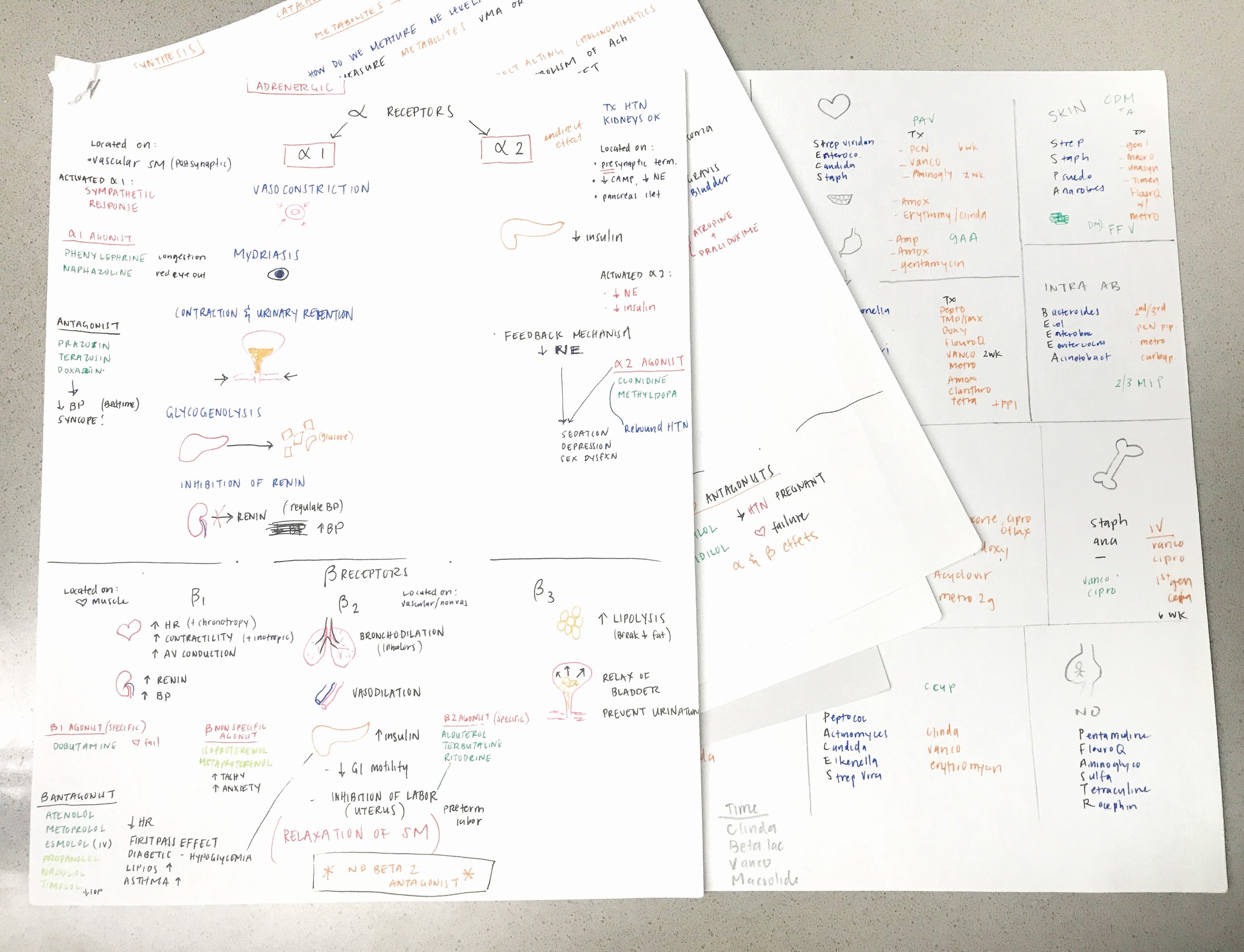 FullSizeRender 3.jpg